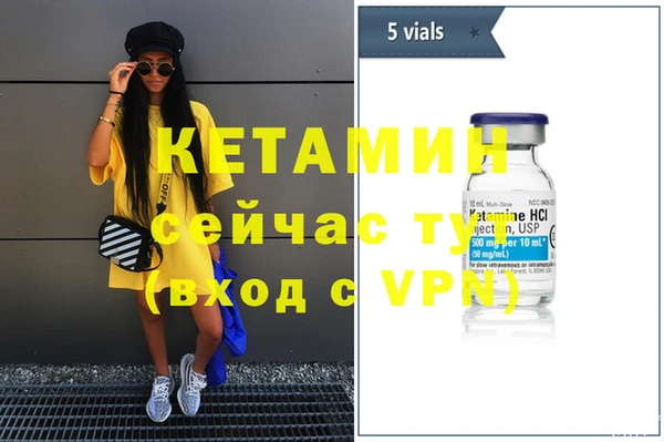 сатива Няндома