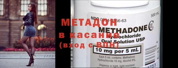 сатива Няндома