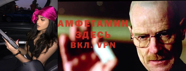 сатива Няндома