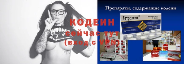 сатива Няндома