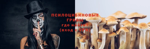 сатива Няндома