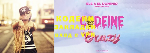 сатива Няндома