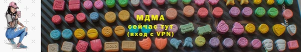 сатива Няндома