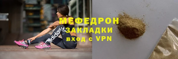 сатива Няндома
