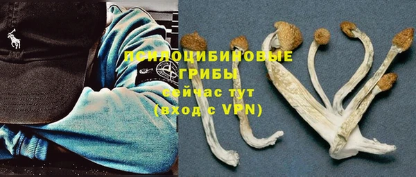эйфоретик Нягань