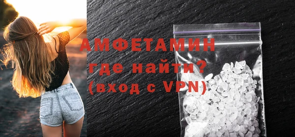 сатива Няндома
