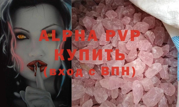 сатива Няндома