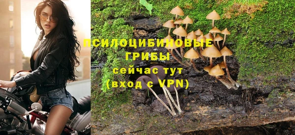 марки nbome Нязепетровск