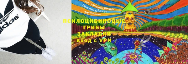 сатива Няндома