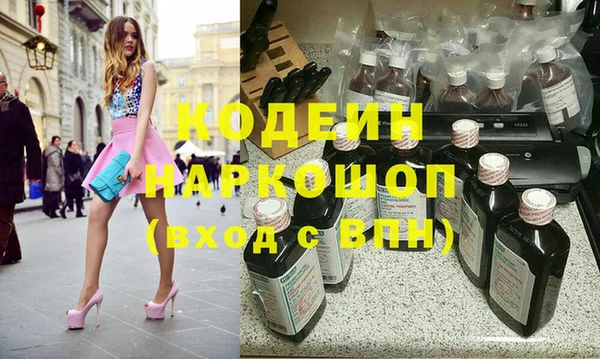 сатива Няндома