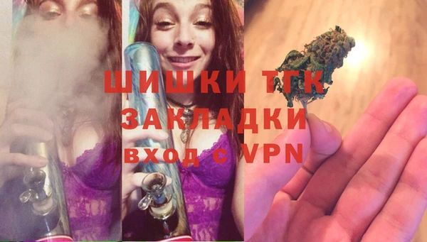сатива Няндома
