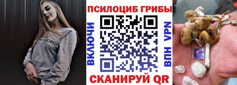как найти закладки  гидра ТОР  Псилоцибиновые грибы ЛСД  Бежецк 