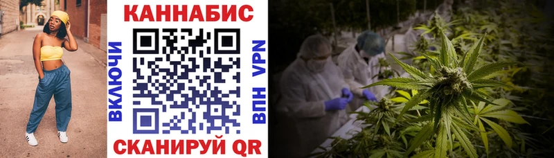 Бошки марихуана семена  Бежецк 